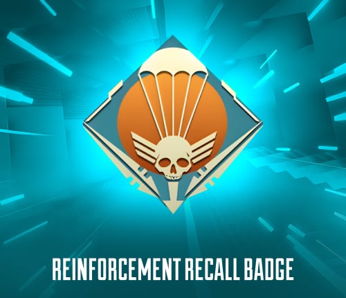 REINFORCEMENT RECALL BADGE